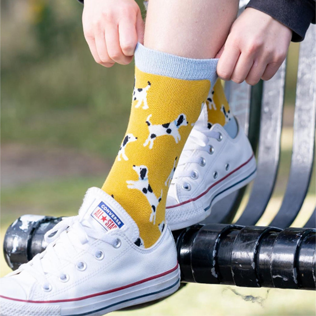 1 Pack Ladies Novelty Grey French Bulldog Bamboo Socks