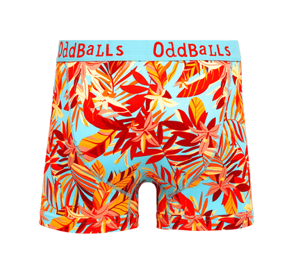 Calypso - Mens Cotton Boxer Shorts OddBalls