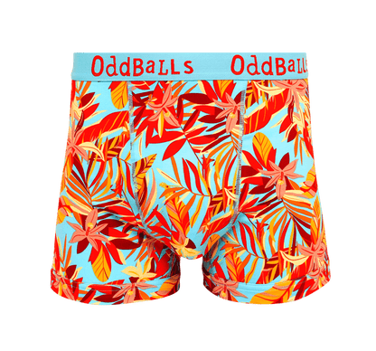 Calypso - Mens Cotton Boxer Shorts OddBalls