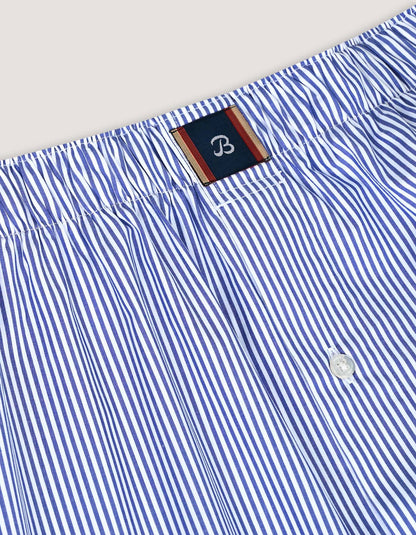 Blue Striped Woven Boxers