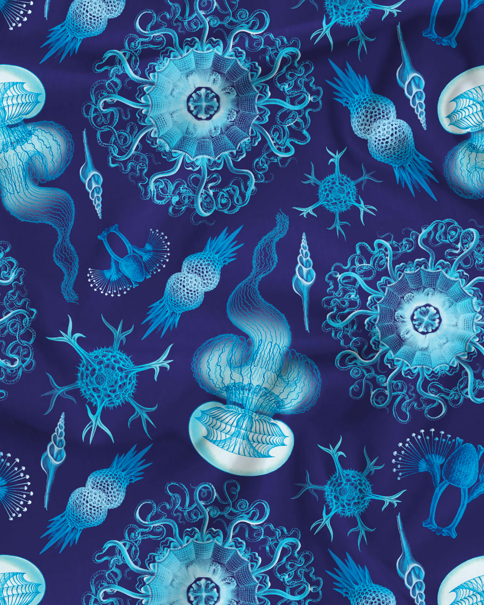Mens Boxer Shorts - Haeckel Navy