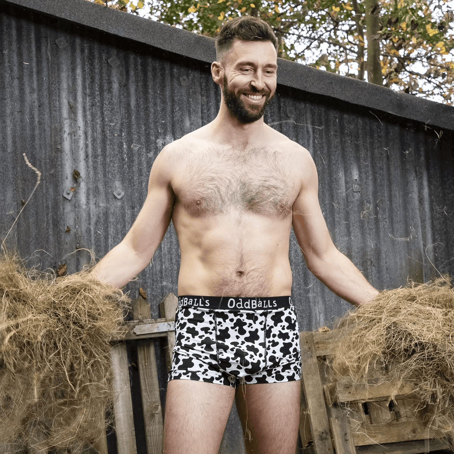 OddBalls Fat Cow - Mens Cotton Boxer Shorts