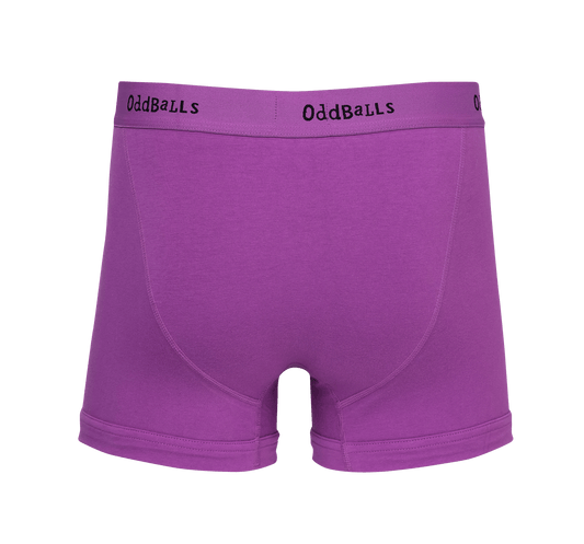 OddBalls Purple & Black - Mens Cotton Boxer Shorts